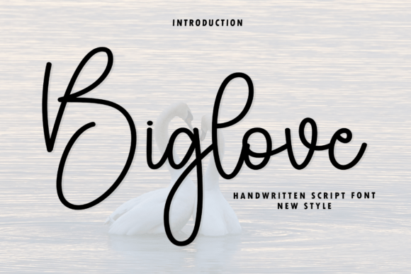 Biglove: A Modern Script Font for Elegant Branding