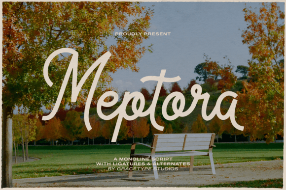 Meptora: Capturing Effortless Charm in Your Designs