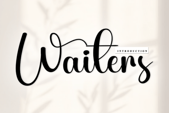 Waiters: The Rhythmic Script for Artisanal Branding